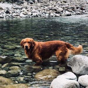 Meet your Posher, Jeana